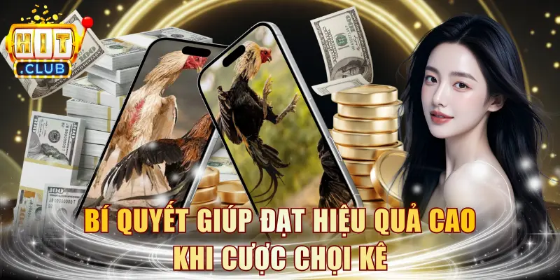 Bí quyết giúp đạt hiệu quả cao khi cược chọi kê