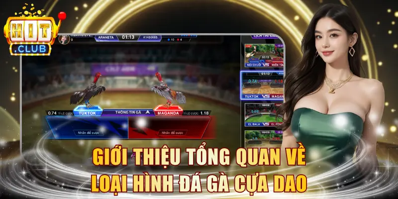 Giới thiệu tổng quan về loại hình đá gà cựa dao