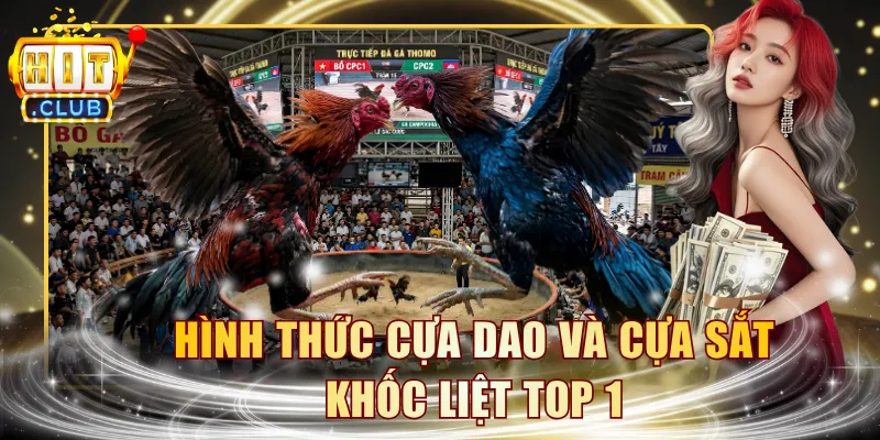 Hình thức cựa dao và cựa sắt khốc liệt top 1