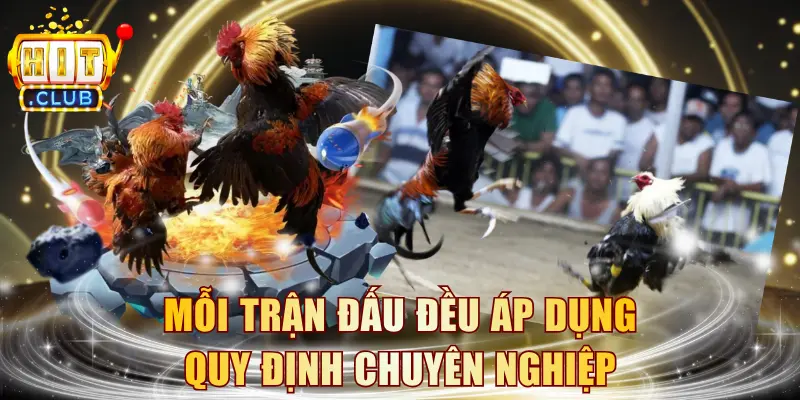 Mỗi trận đấu đều áp dụng quy định chuyên nghiệp