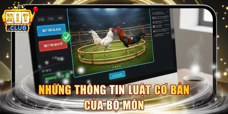 Những thông tin luật cơ bản của bộ môn