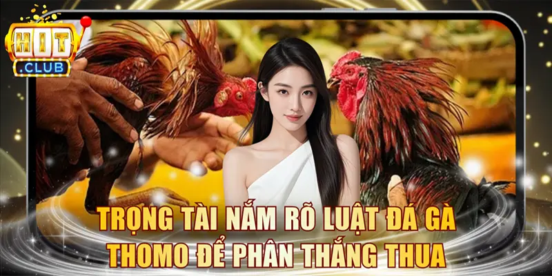 Trọng tài nắm rõ luật đá gà Thomo để phân định thắng thua
